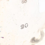 historically important Victorian silver hallmarks